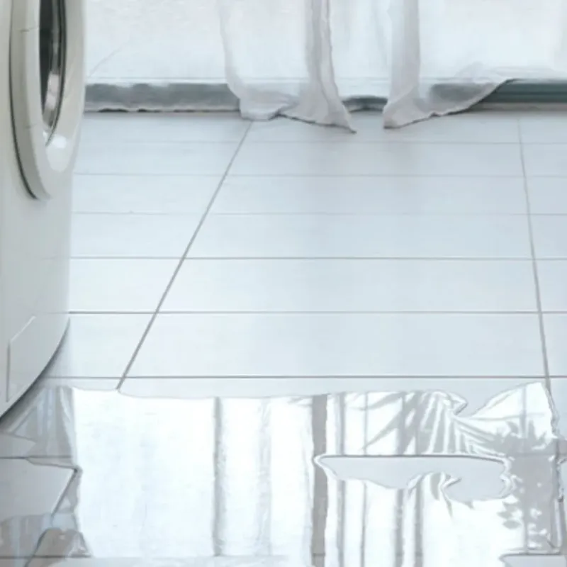 Appliance Leak Cleanup in Annetta, TX