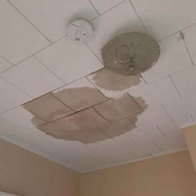 Ceiling Water Damage Repair in Annetta, TX