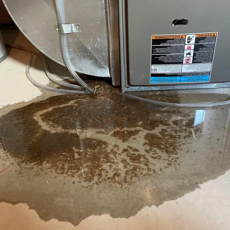 Pipe Burst and Leak Restoration in Annetta, TX