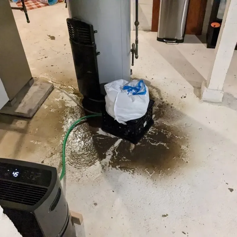 Sewage Backup Cleanup Service in Annetta, TX
